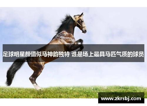 足球明星颜值似马神韵独特 谁是场上最具马匹气质的球员