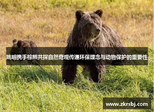 姚明携手棕熊共探自然奇观传递环保理念与动物保护的重要性